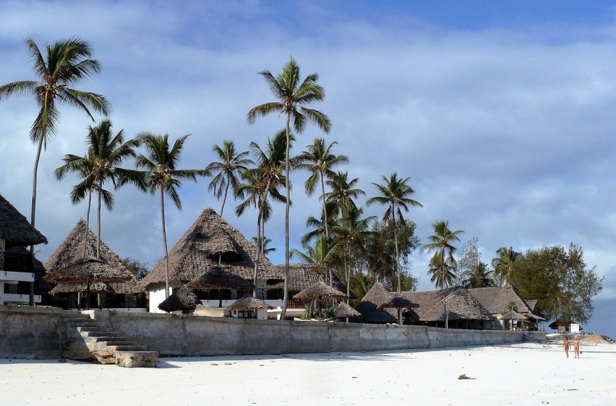Quelles sont les activités à ne pas manquer lors d'un voyage à Zanzibar ?