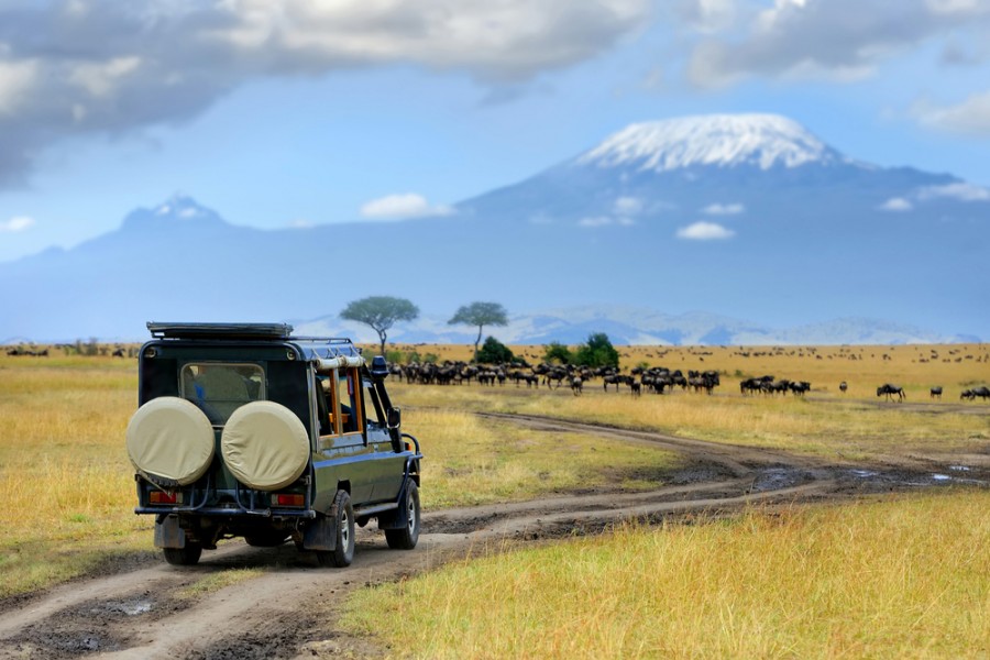 Quel est le prix d'un safari au Kenya ?
